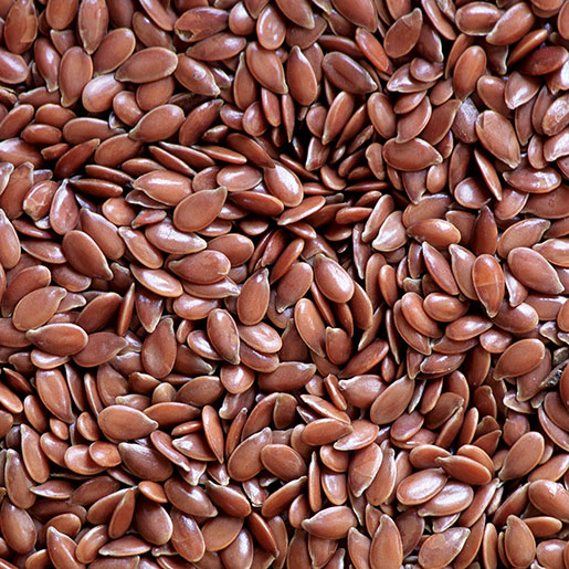 Flax Seed (Alsi)